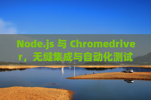 Node.js 与 Chromedriver，无缝集成与自动化测试的力量