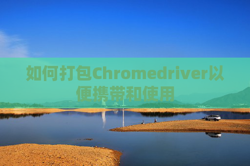 如何打包Chromedriver以便携带和使用