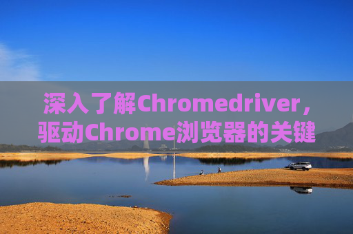 深入了解Chromedriver，驱动Chrome浏览器的关键工具