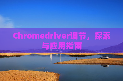 Chromedriver调节,探索与应用指南 Chromedriver调节,探索与应用指南